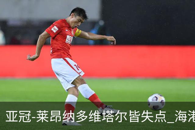 亚冠-莱昂纳多维塔尔皆失点 海港爆冷2-3河内公安遭首败