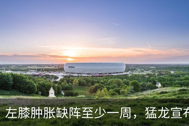 左膝肿胀缺阵至少一周，猛龙宣布伦纳德影像检查无急性损伤