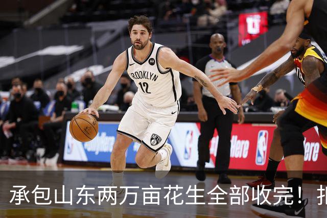 承包山东两万亩花生全部收完！扣完成本，最后利润到底有多少？