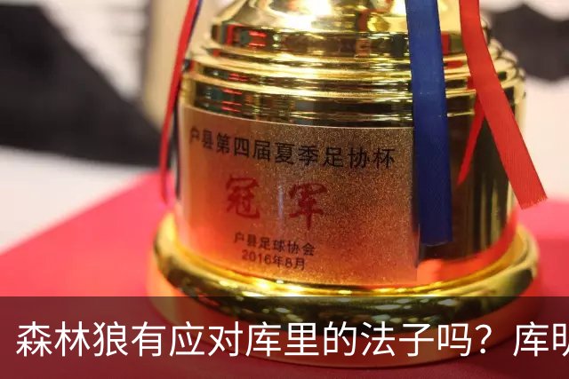 森林狼有应对库里的法子吗？库明加不语 只是一味地摇头