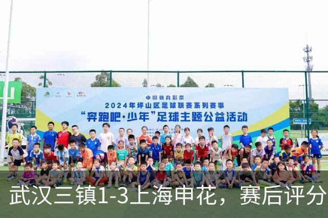 武汉三镇1-3上海申花，赛后评分+中超最新积分榜出炉