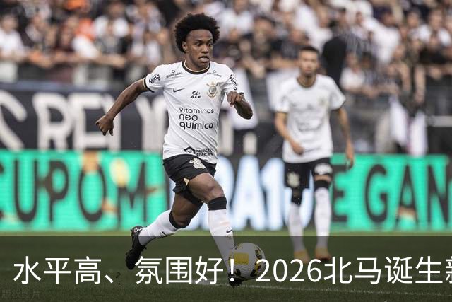 水平高、氛围好！2026北马诞生新纪录，赛事组织获选手认可