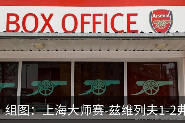 组图：上海大师赛-兹维列夫1-2弗基纳无缘决赛 表情沮丧
