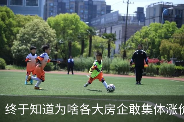终于知道为啥各大房企敢集体涨价了，原来是全球资本围猎中国房产