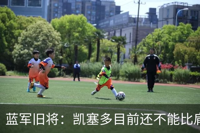 蓝军旧将：凯塞多目前还不能比肩马克莱莱；亨德森被很多人低估了