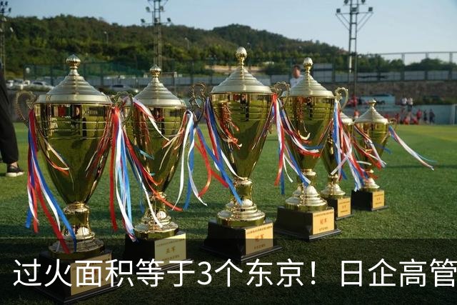 过火面积等于3个东京！日企高管引燃边境草原大火，日媒集体沉默