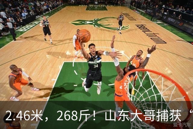 2.46米，268斤！山东大哥捕获“鲅鱼王”：常见鲅鱼仅几斤到十几斤，已被水产公司收购，将做成鲅鱼水饺